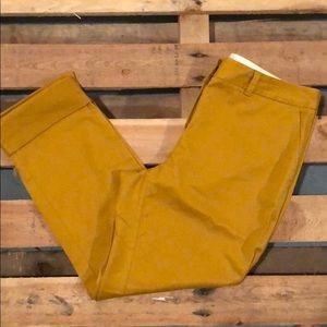 NWOT Mustard lands end mid rise straight leg
